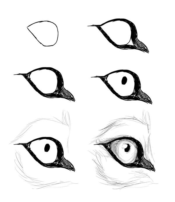 绘画卡通人物眼睛技巧：如何画眼睛更吸引人