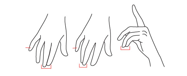 手部详细绘画理解教程:手应该怎么画