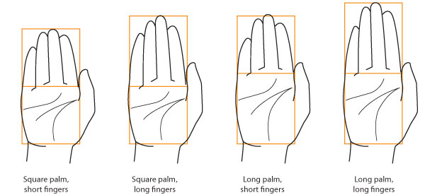 手部详细绘画理解教程:手应该怎么画