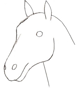 铅笔素描小教程：简单教程绘画马的头部