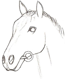 铅笔素描小教程：简单教程绘画马的头部