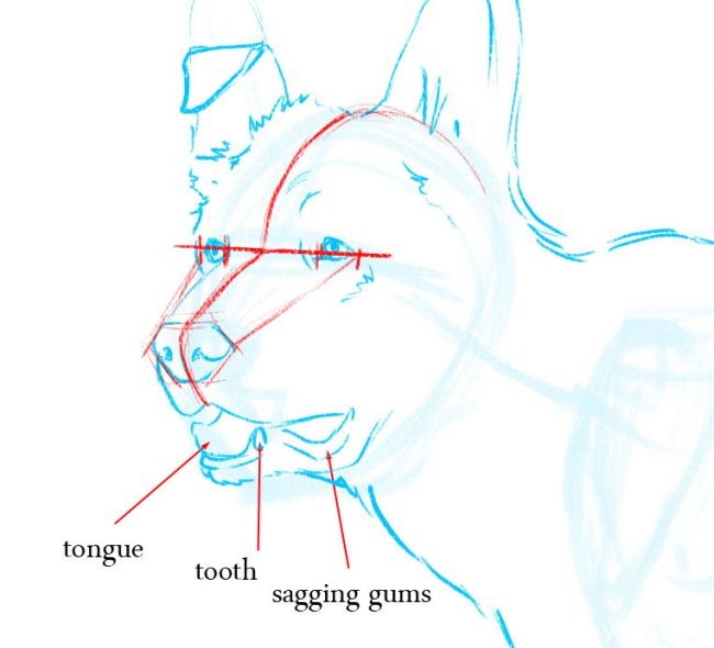 绘画教程：如何画狗，教你画一只警犬黑背