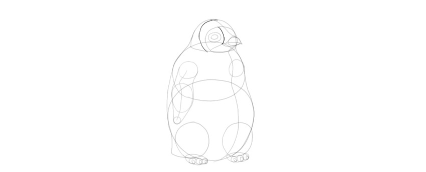 一步步教你画一只真实的小企鹅宝宝