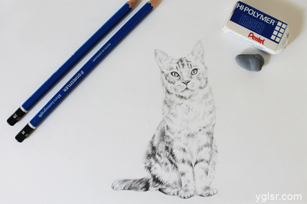 如何在纸上画出一只猫 小花猫