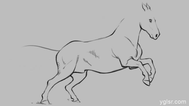 如何画马，马的简单画法步骤分解