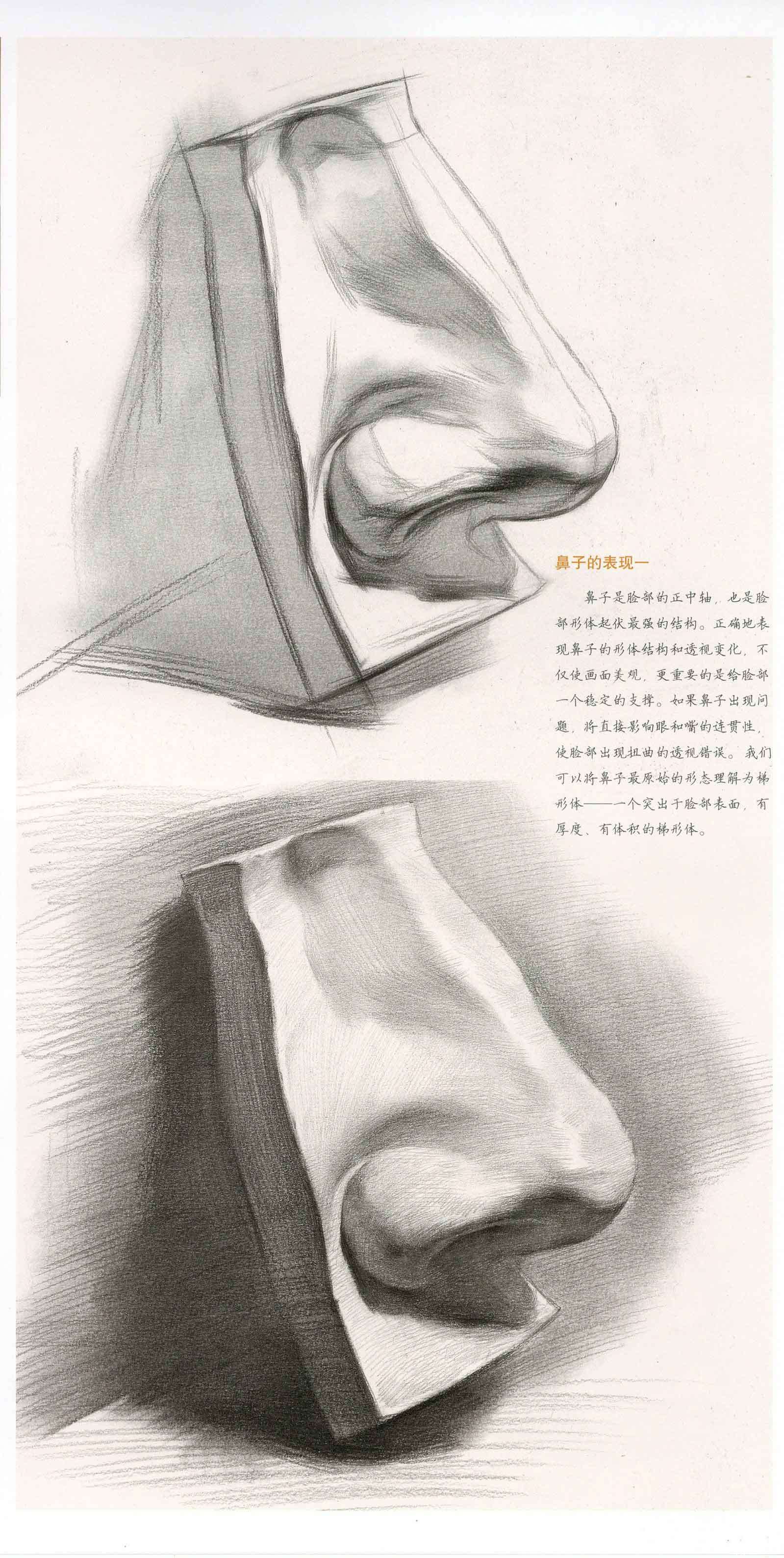 鼻子的简笔画怎么画 鼻子简笔画步骤 - 水彩迷