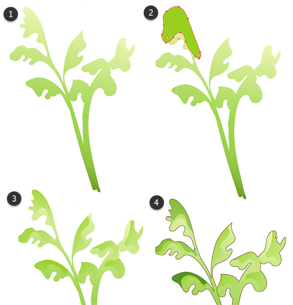 AI鼠绘欧芹（芹菜）矢量图教程