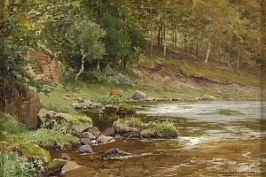 茂密森林,德国画家Heinrich Bohmer作品