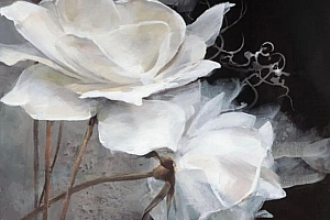荷兰画家威廉·海恩雷兹,花卉静物画选
