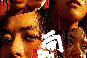 向阳·花(2025)