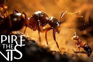 蚂蚁帝国|v1.04.20550|官方中文|支持手柄|Empire of the Ants